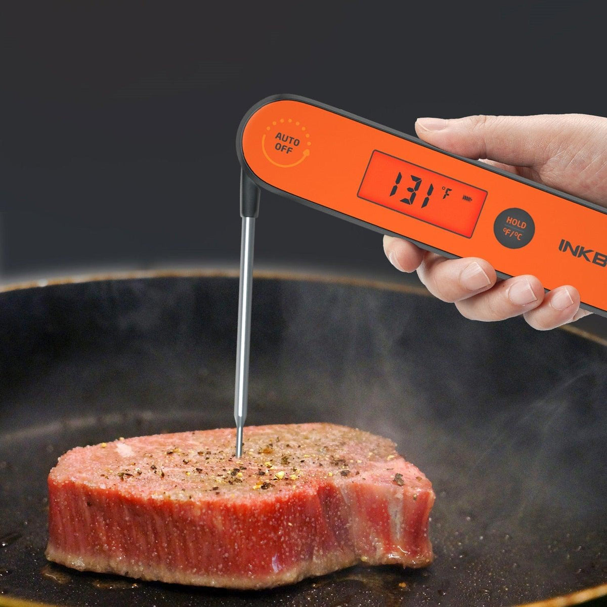 Digital BBQ Thermometer