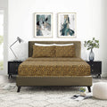 Sleepdown 100% Cotton Bed Sheet Set